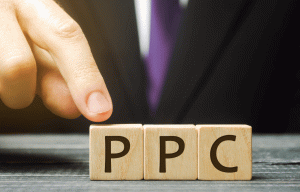 What are the Advantages of PPC Management Software?